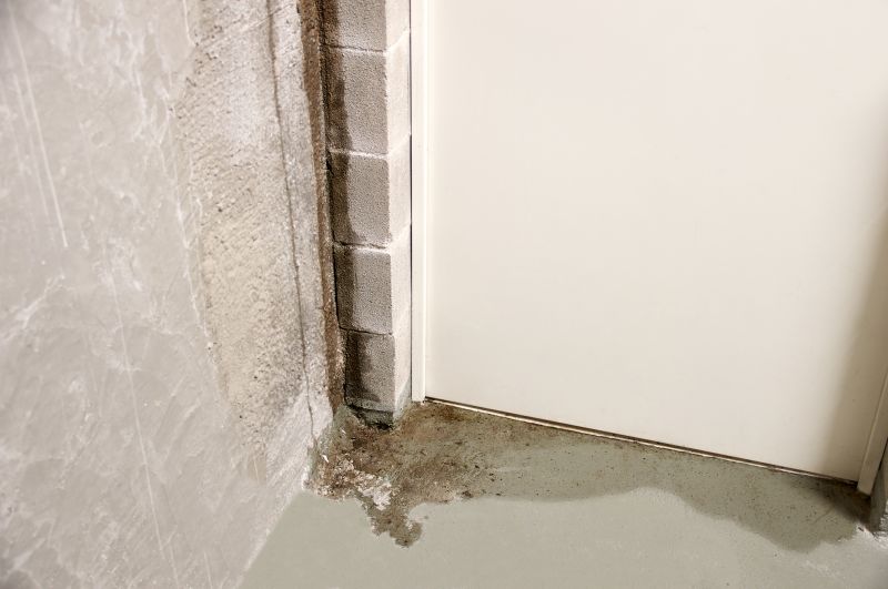 Foundation Moisture Prevention in Tampa, FL